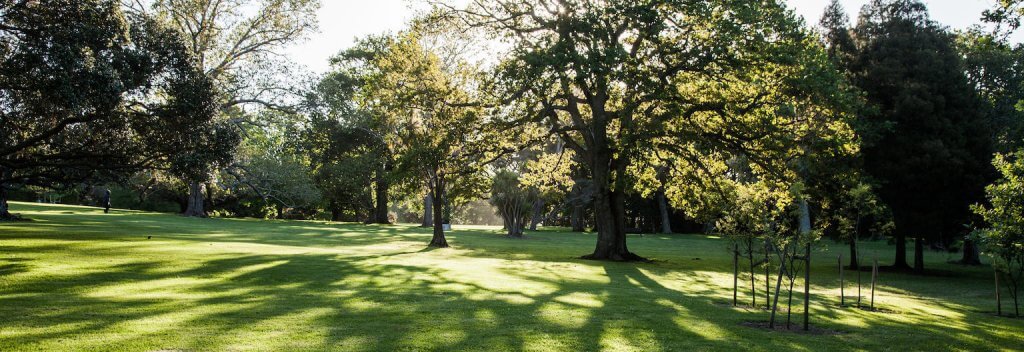 جانب من حديقة Auckland Domain